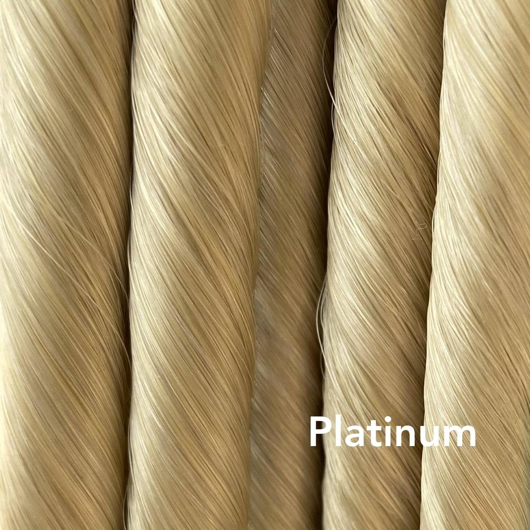 Platinum Blonde Easy Updo Extensions Color Sample